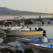 Pelicans in Loreto. One of the reasons I really liked it there. : Baja2011